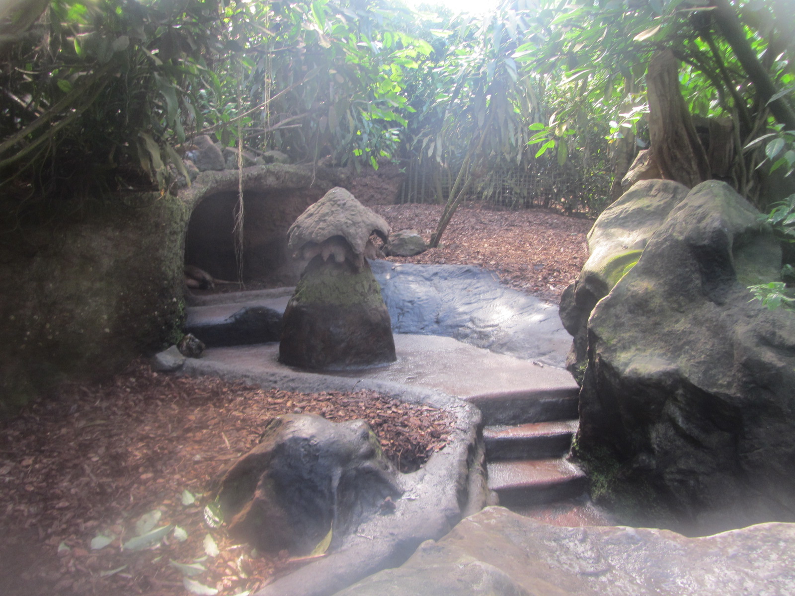 Burgers' Bush - Aardvark enclosure