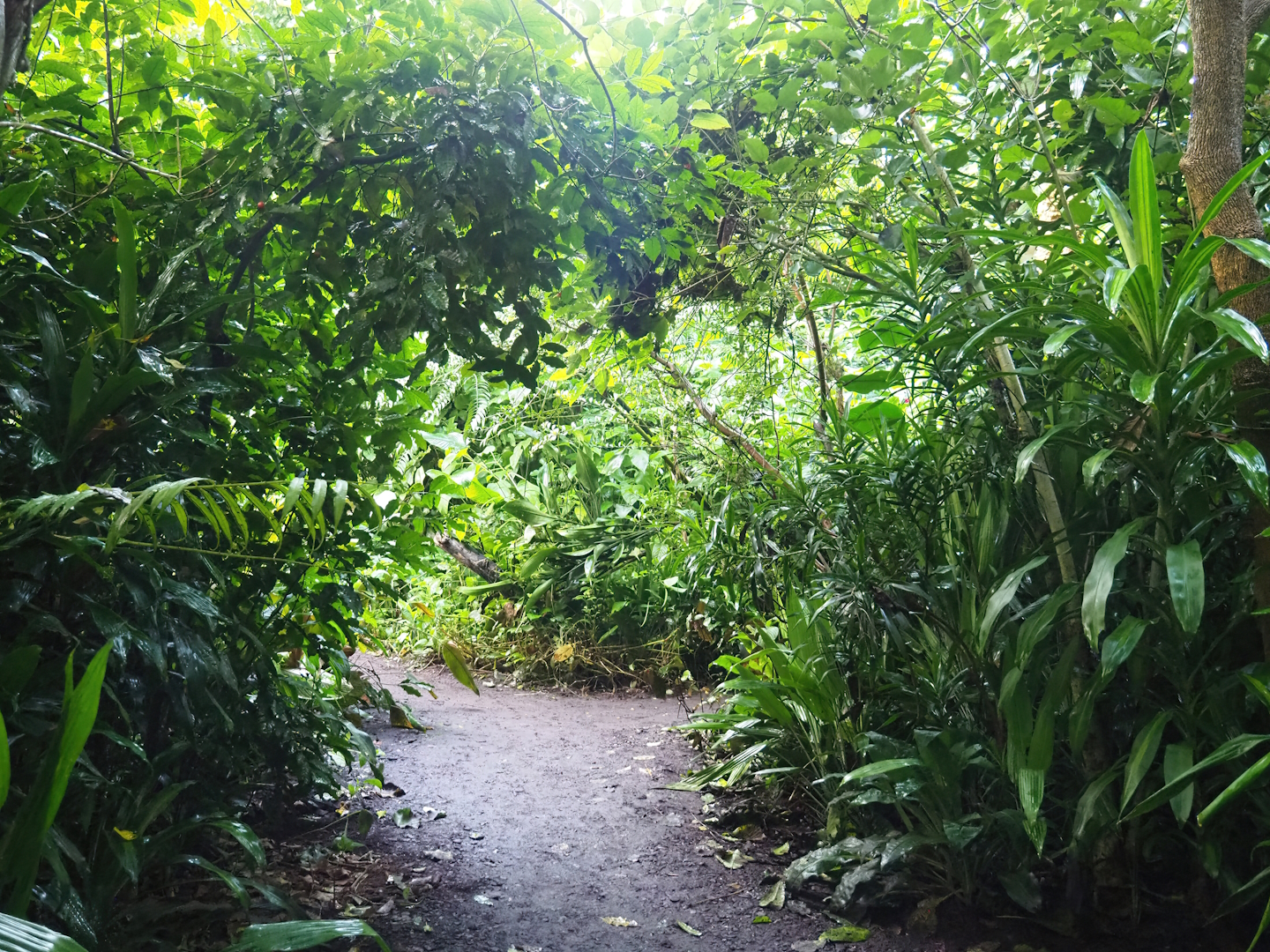 Burgers' Bush - Adventure route, 2023-10-07