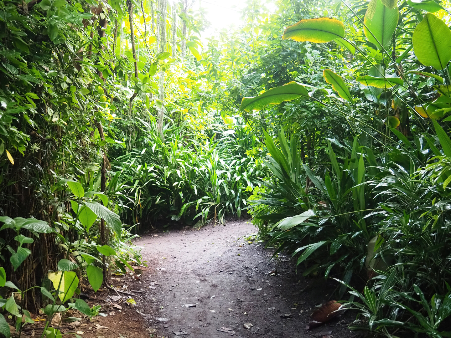 Burgers' Bush - Adventure route, 2023-10-07