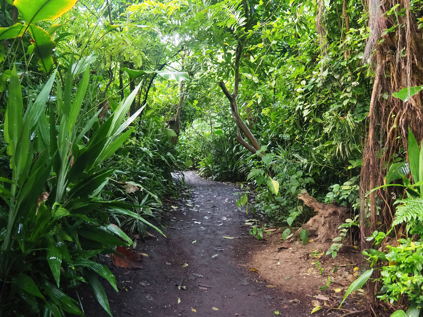 Burgers' Bush - Adventure route, 2023-10-07