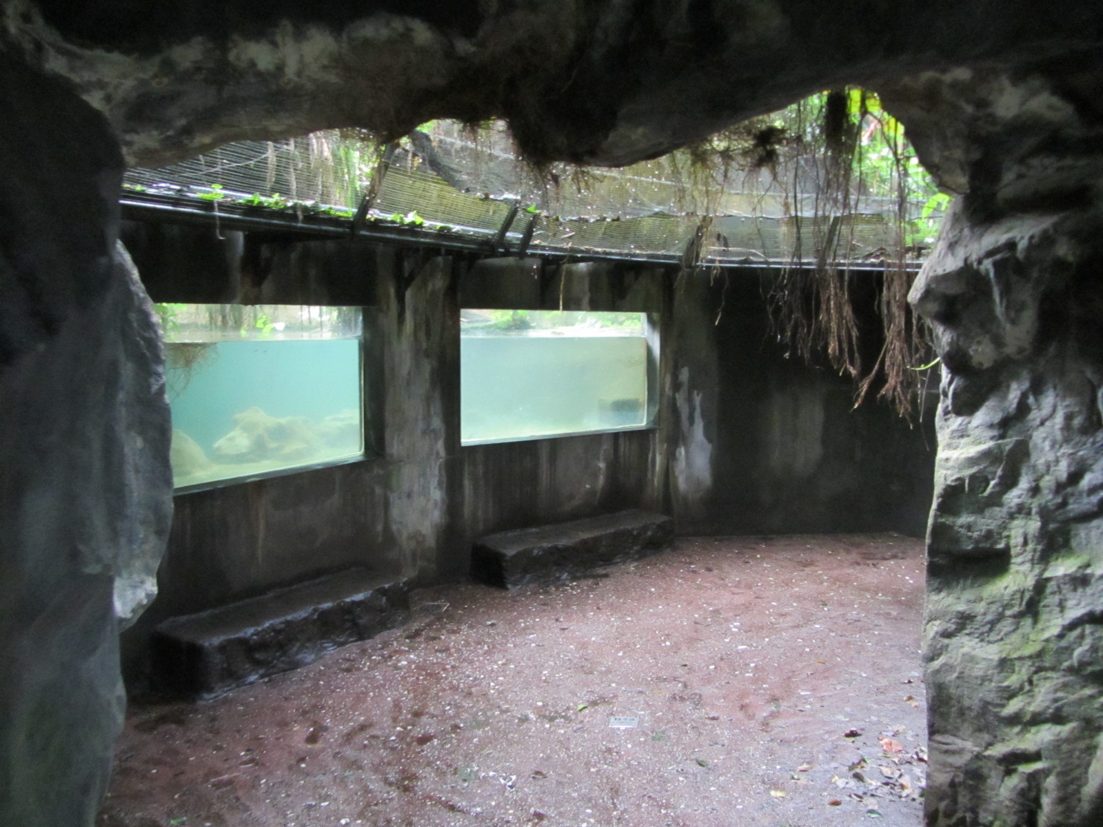 Burgers' Bush - Caiman underwater-viewing area