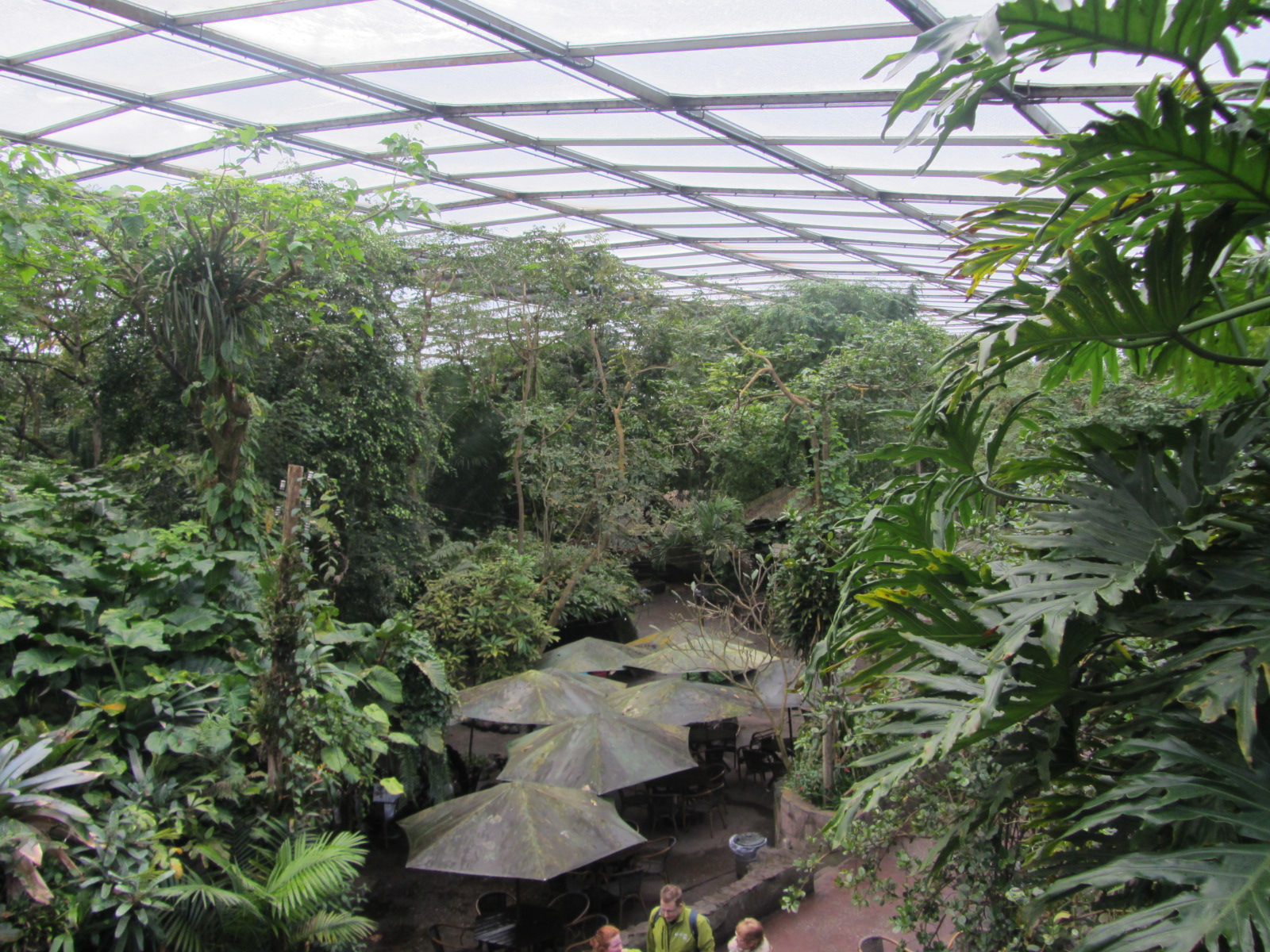 Burgers' Bush - General view