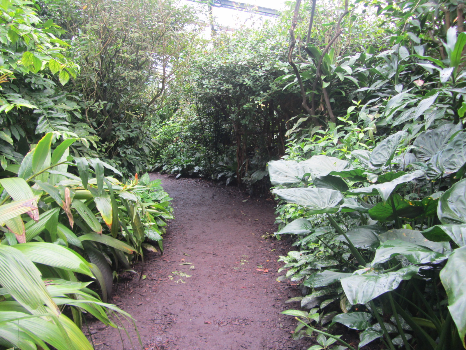 Burgers' Bush - General view