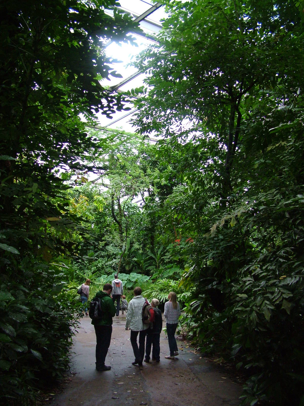 Burgers Bush Interior at Burgers Zoo Arnhem, 29/08/10