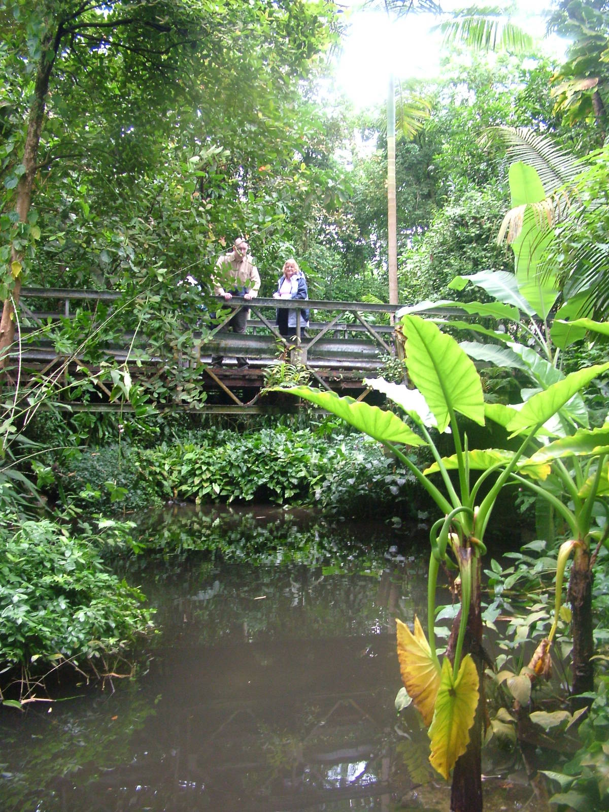 Burgers Bush Interior at Burgers Zoo Arnhem, 29/08/10