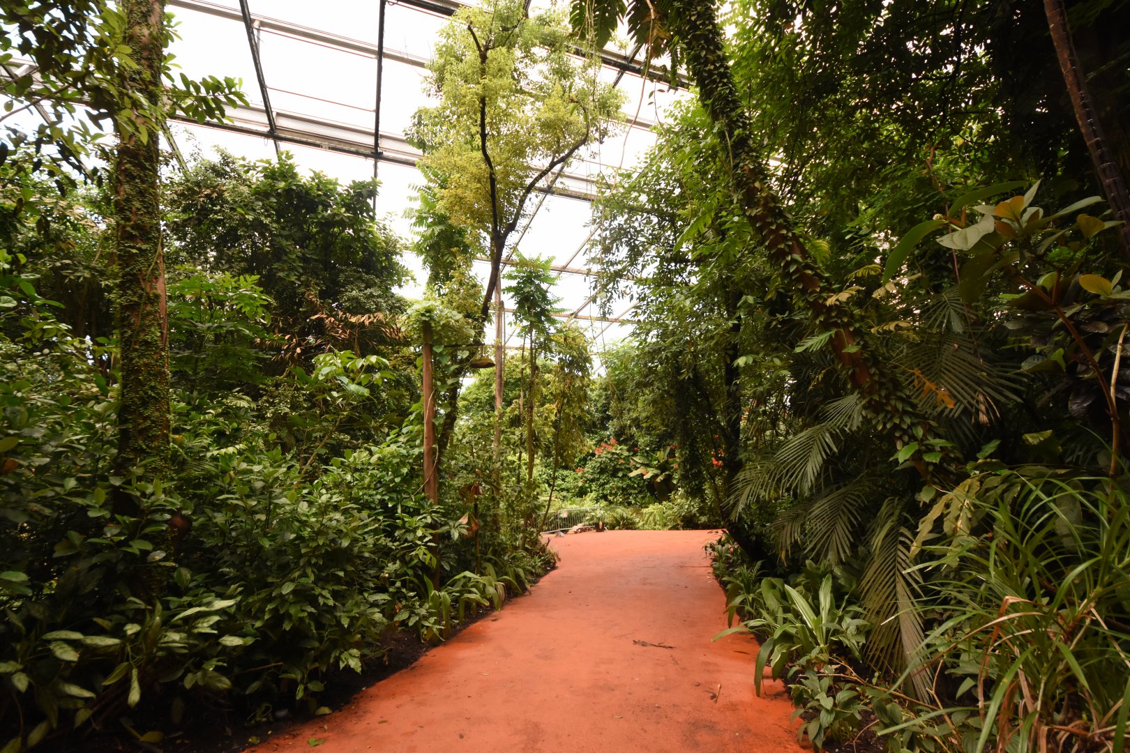 Burgers' Bush - New walking paths