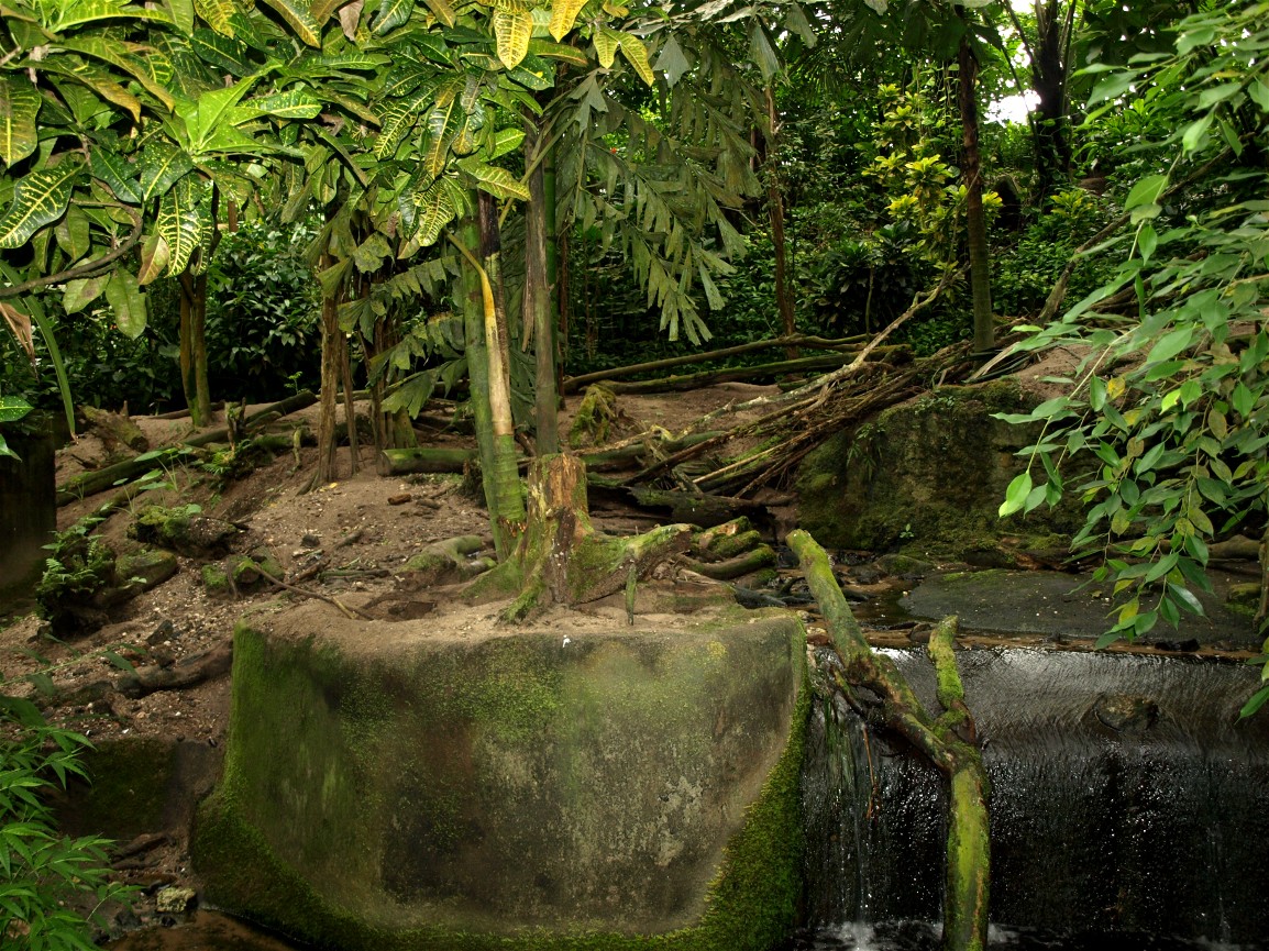 Burgers Bush - Otter exhibit