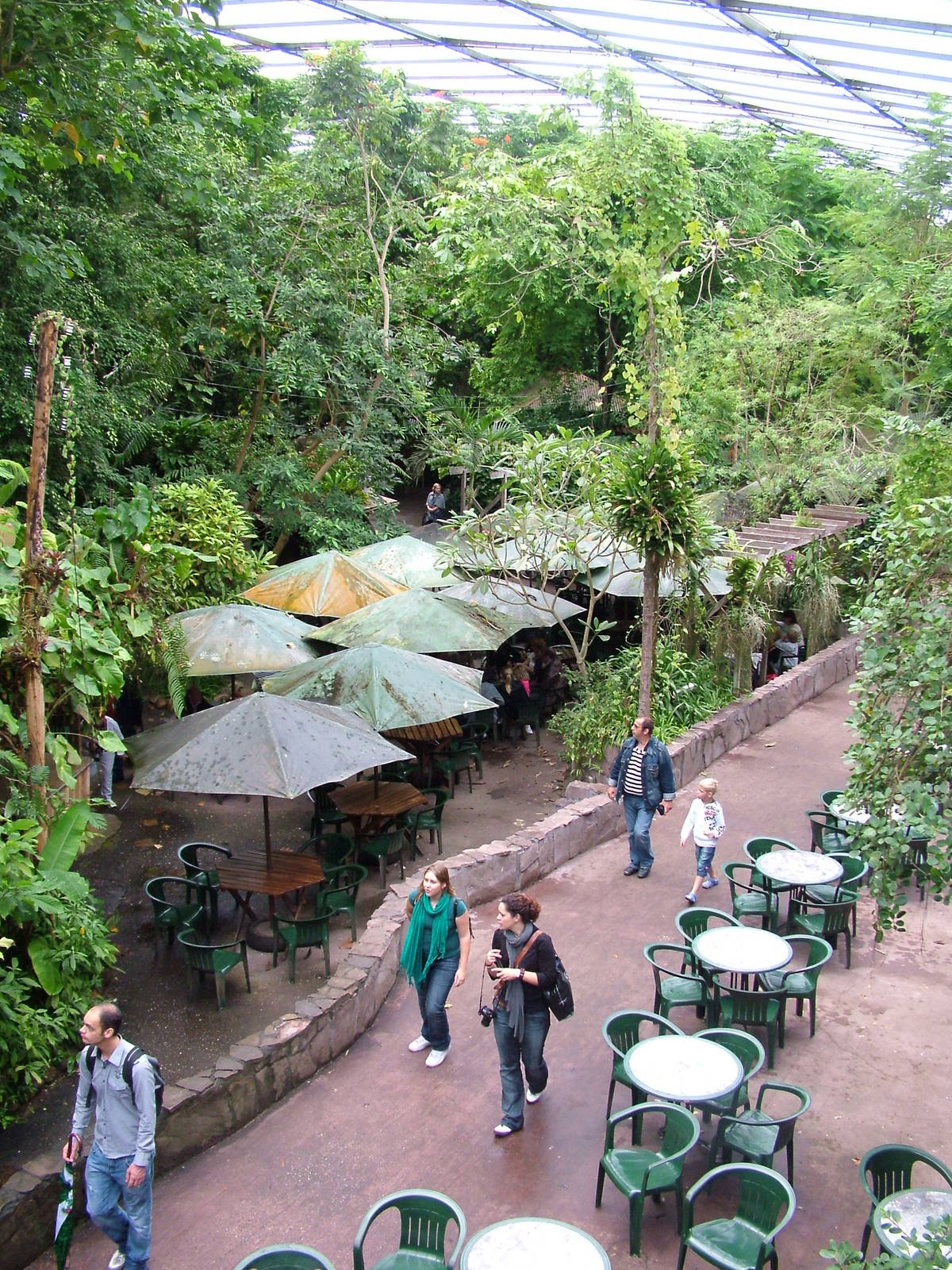 Burgers Bush Restaurant at Burgers Zoo Arnhem, 29/08/10