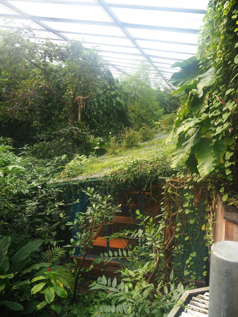 Burgers' Bush restaurant veranda and Bush vegetation, 2023-10-07