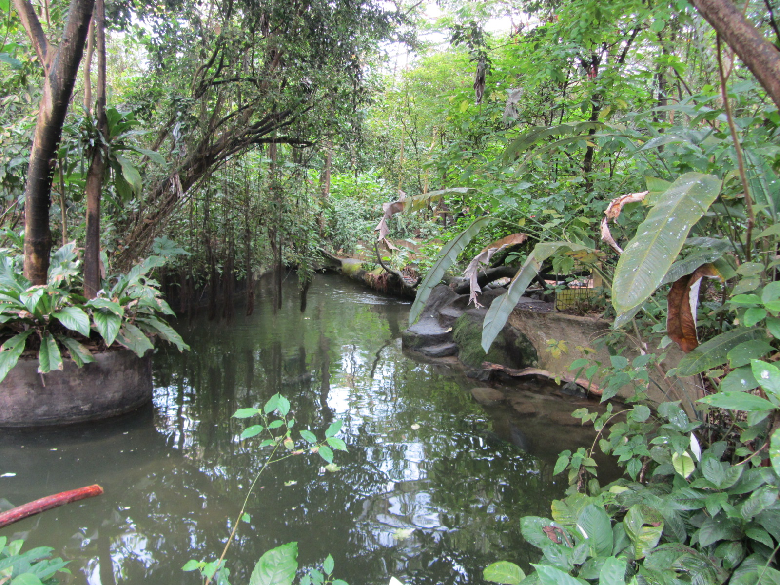 Burgers' Bush - River