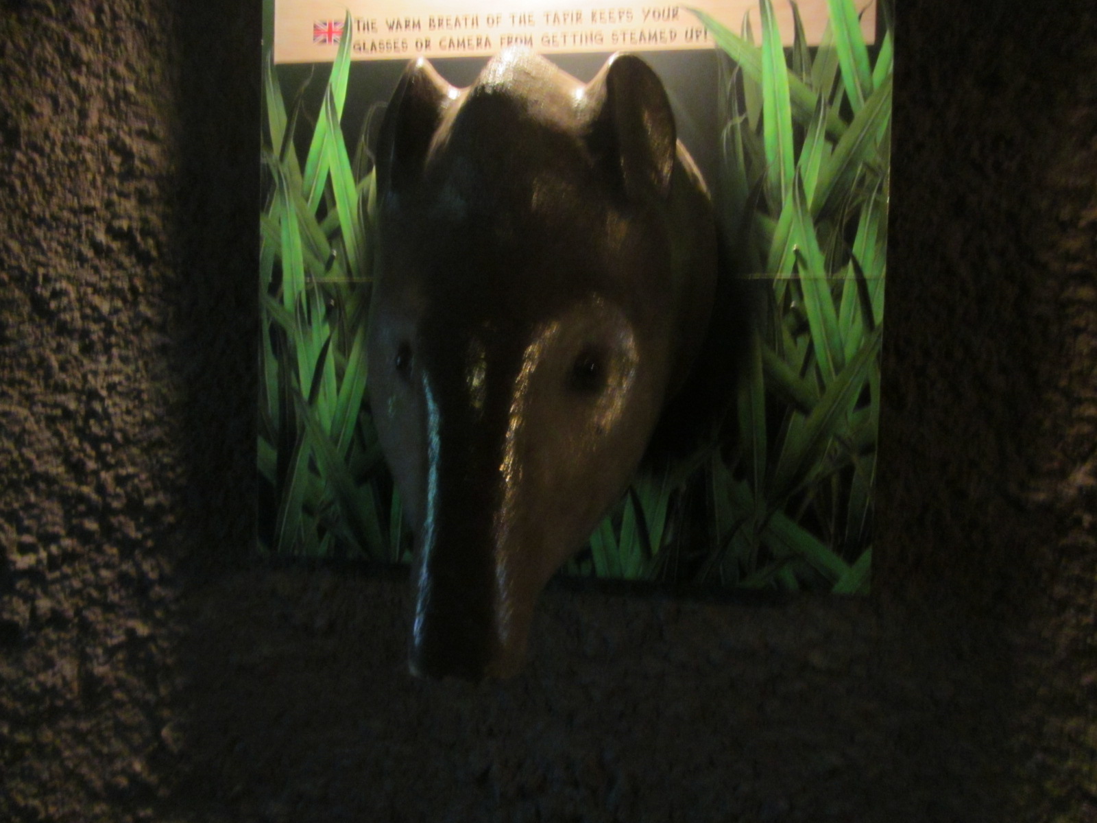 Burgers' Bush - Tapir hand dryer