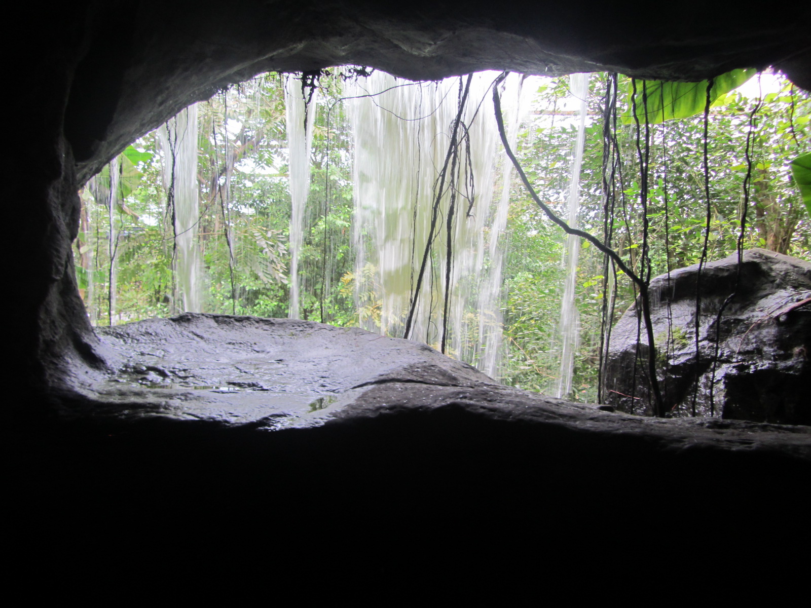 Burgers' Bush - Waterfall cave
