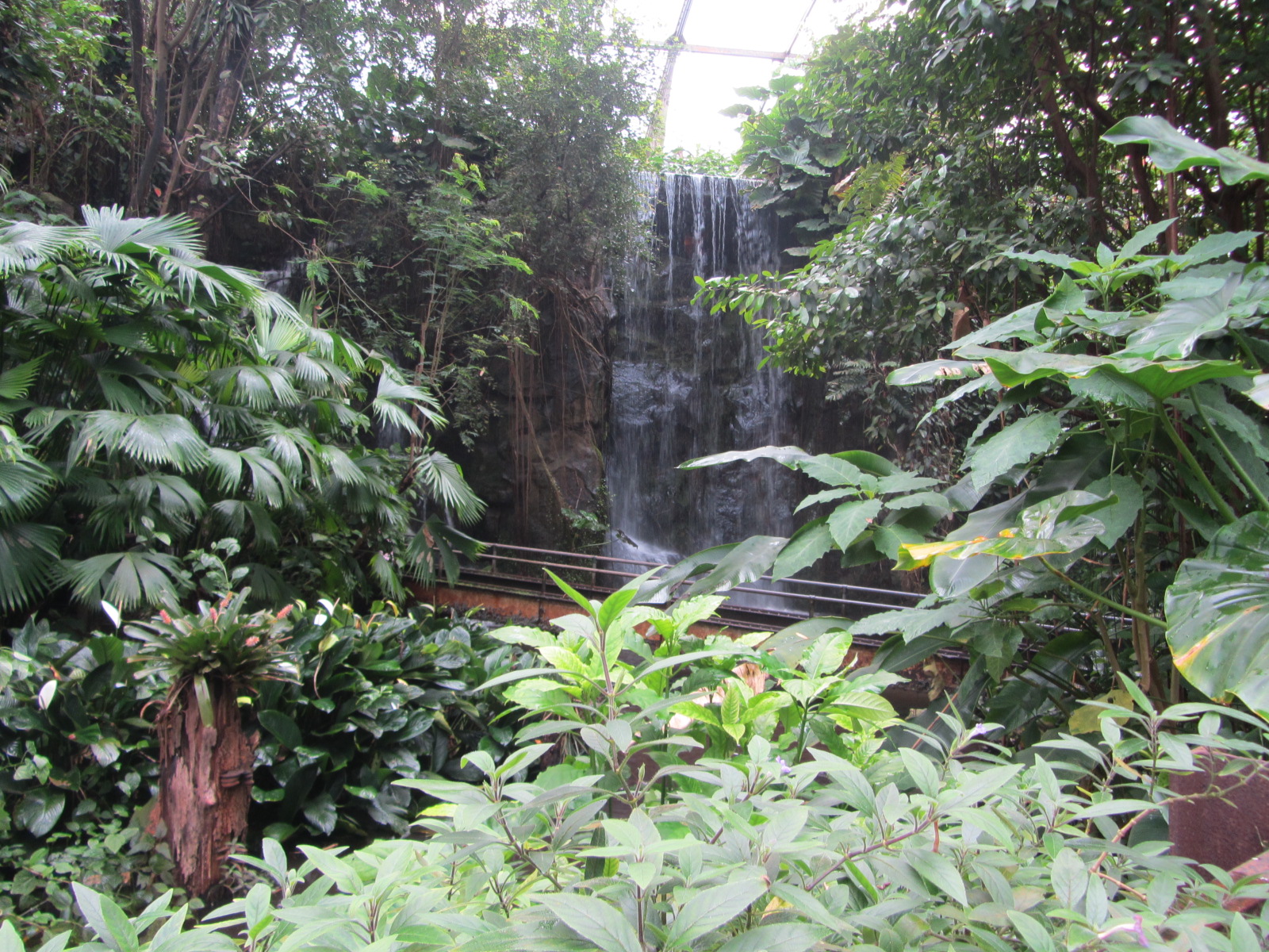 Burgers' Bush - Waterfall