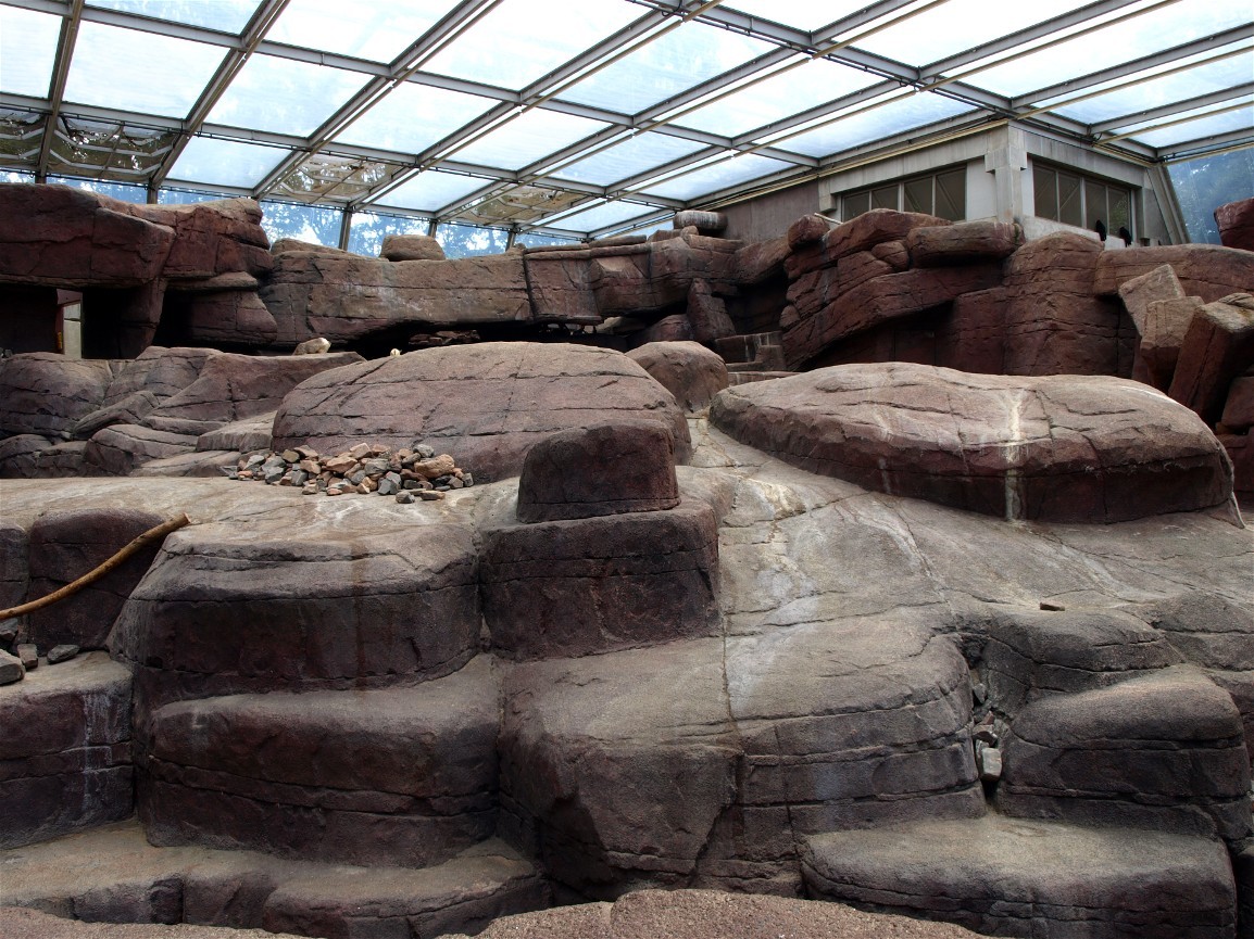 Burgers Desert - Bighorn exhibit