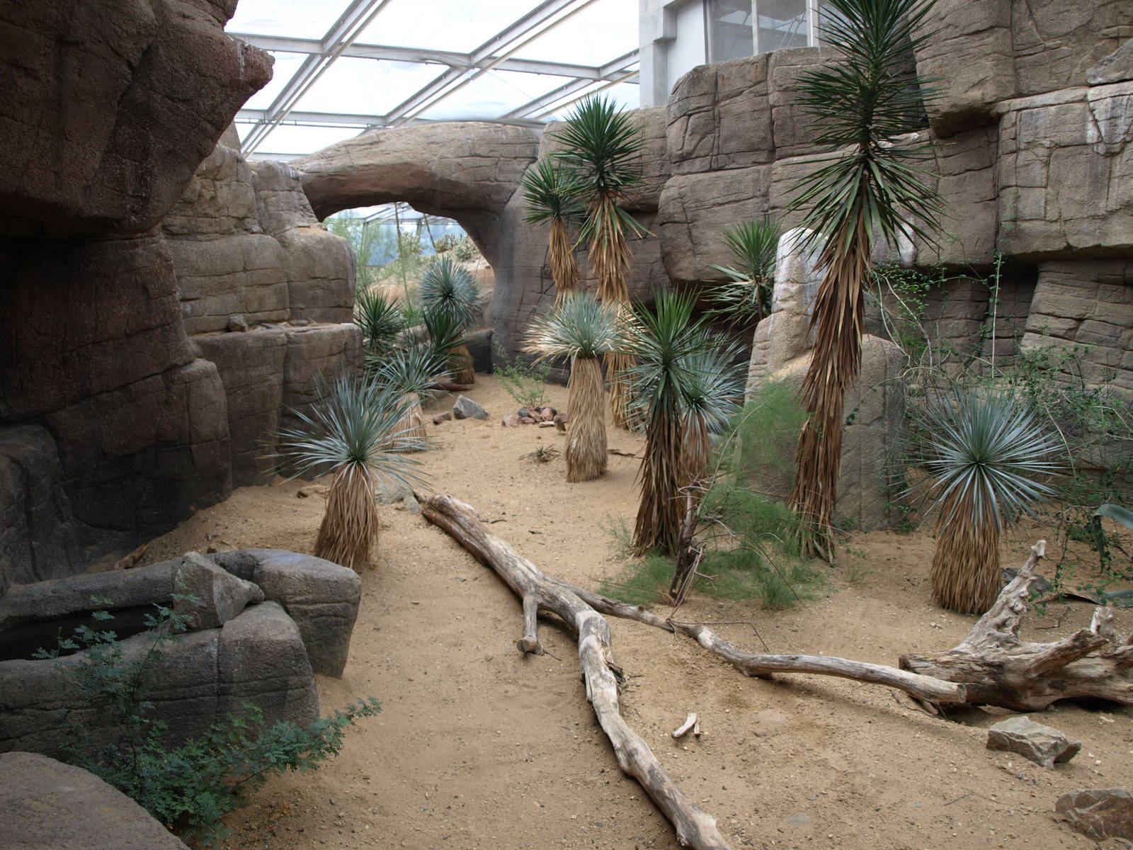 Burgers Desert - Burrowing owl exhibit