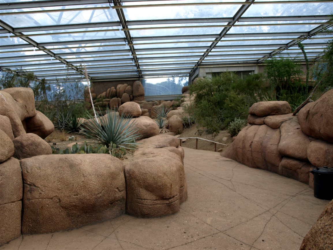 Burgers Desert - Desert paths