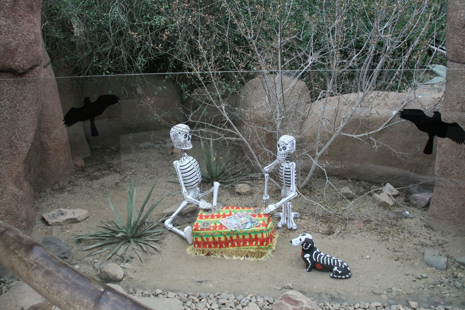 Burgers Desert. Dia de Muertos display