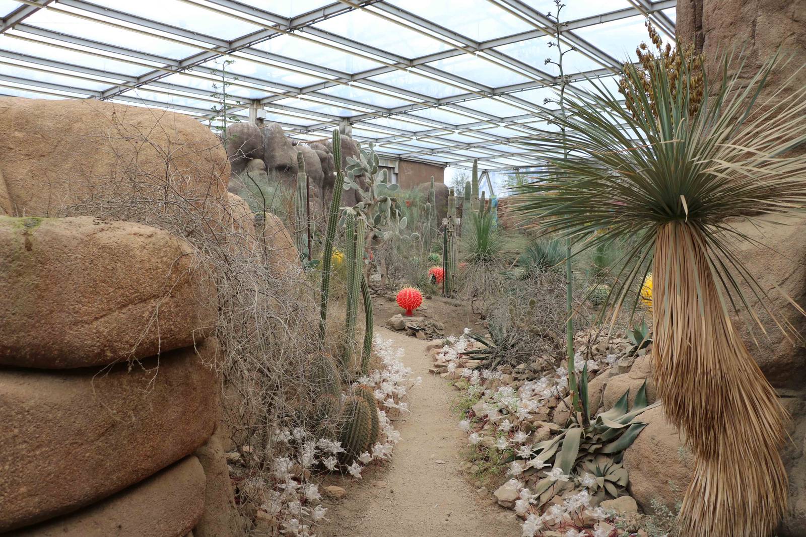 Burgers' desert, February 2016