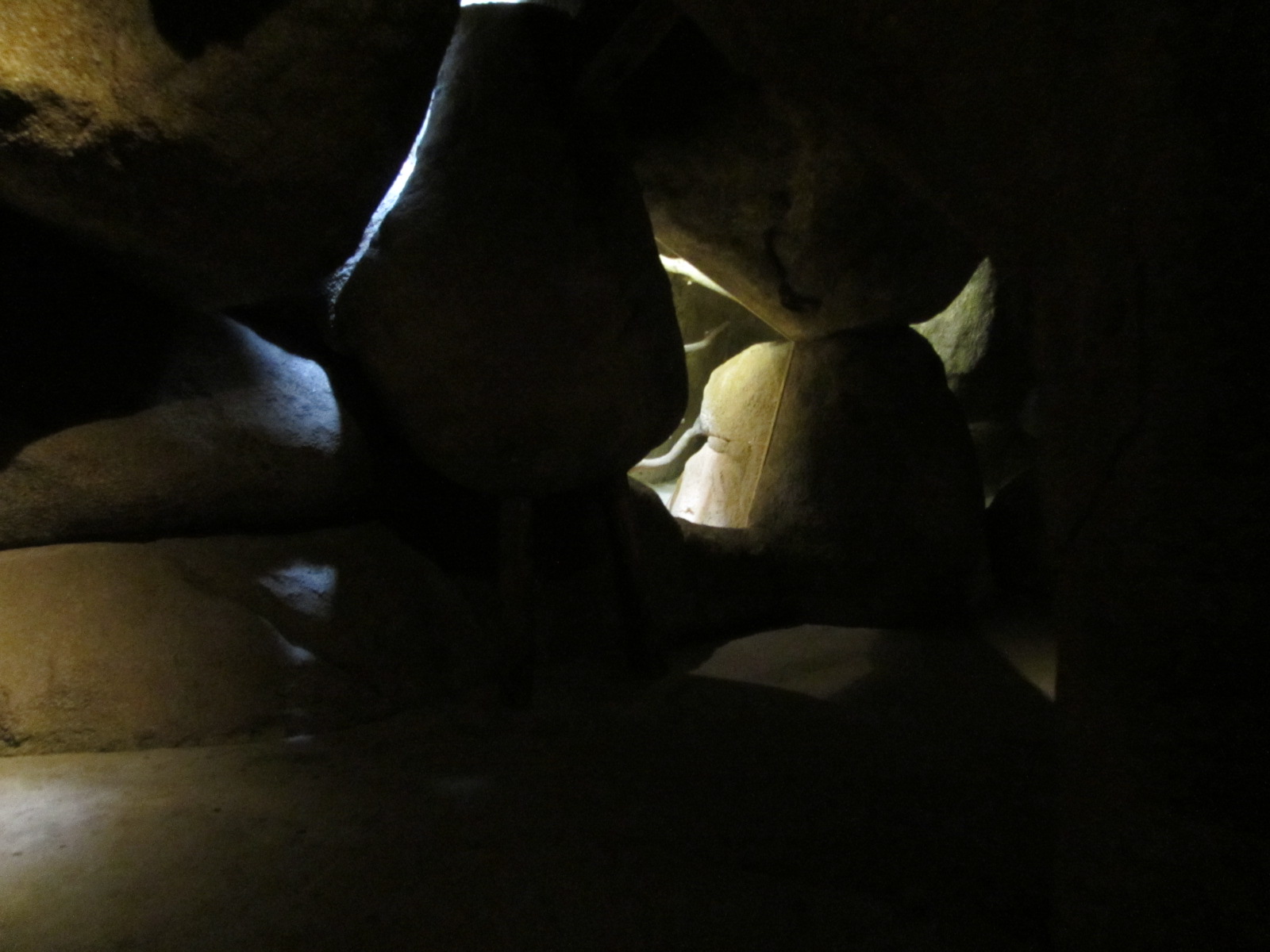 Burgers' Desert - General view of one of the caves.