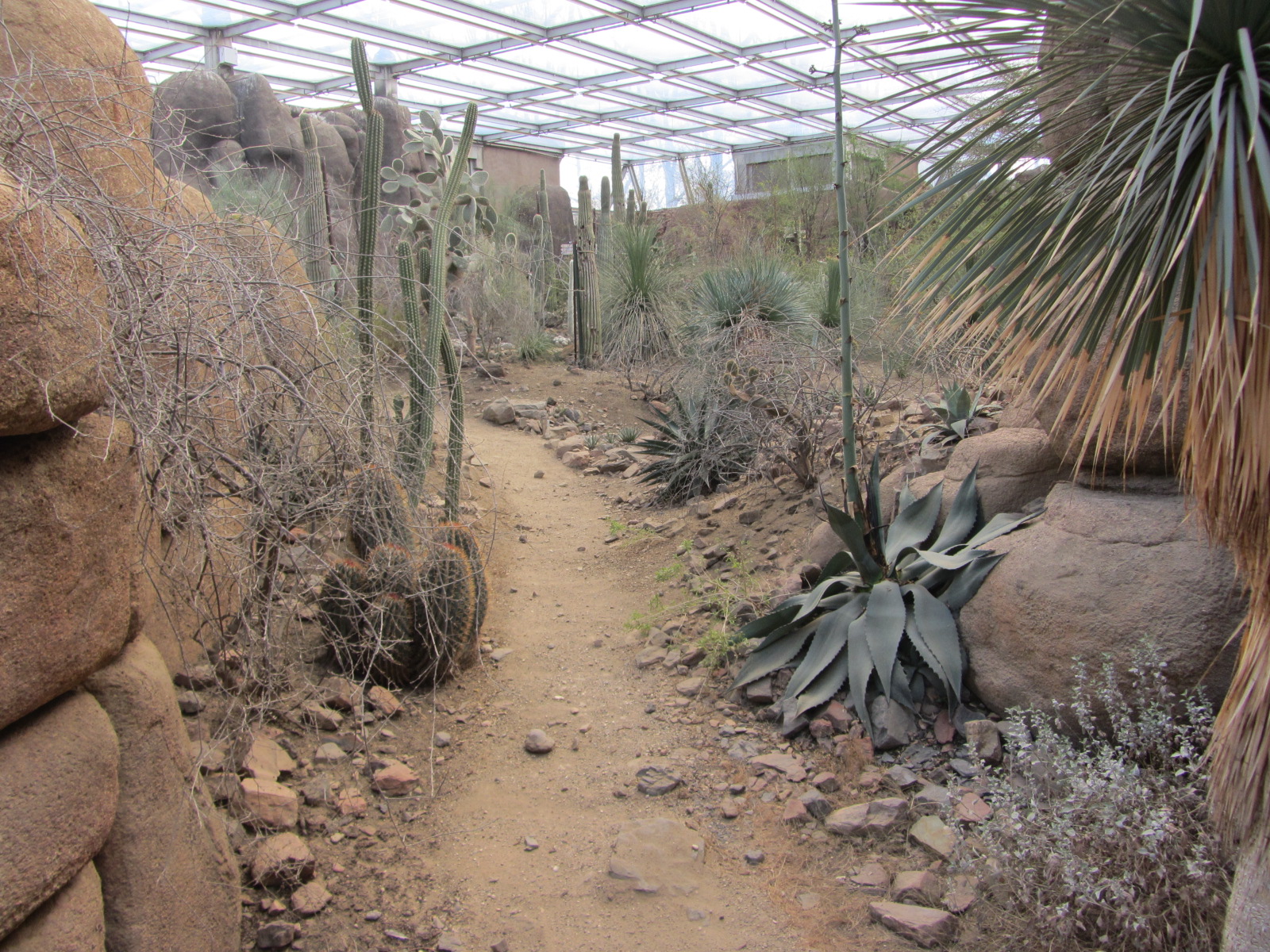 Burgers' Desert - General view
