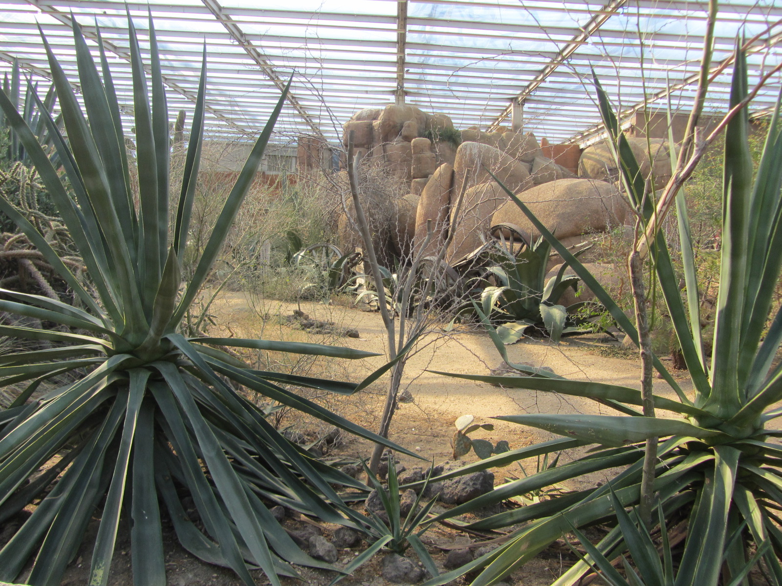 Burgers' Desert - General view