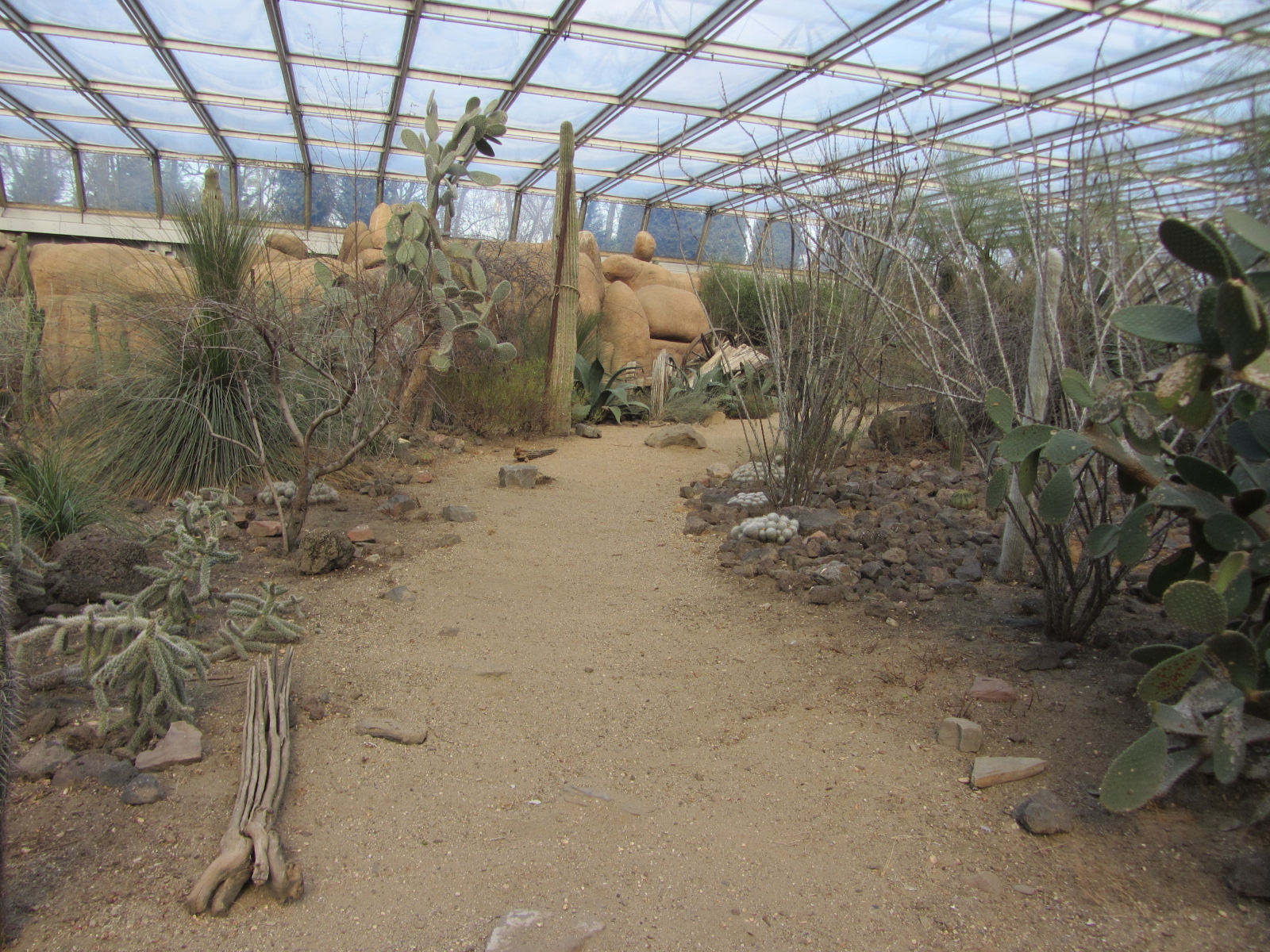 Burgers' Desert - General view