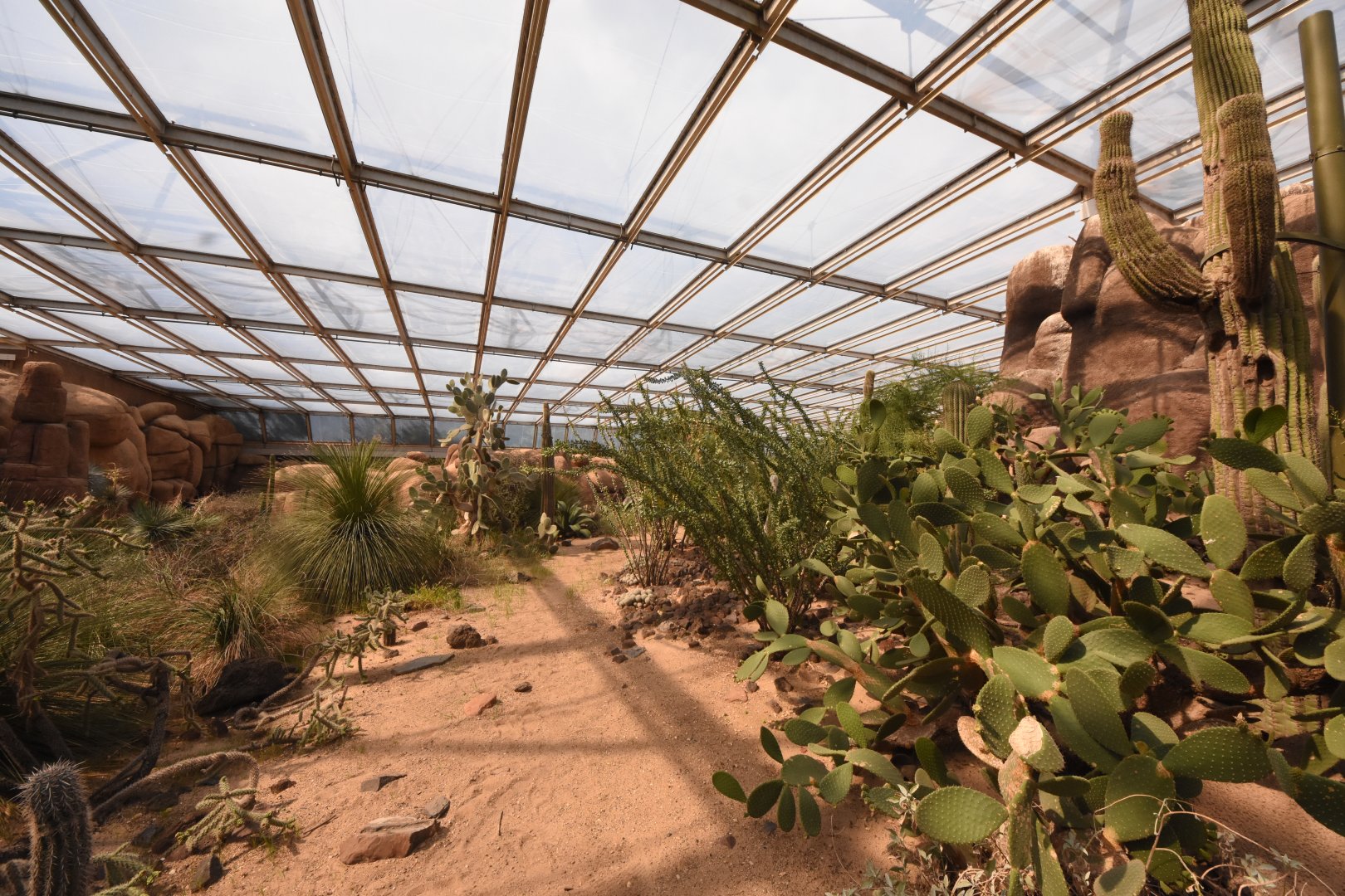 Burgers' Desert - General view