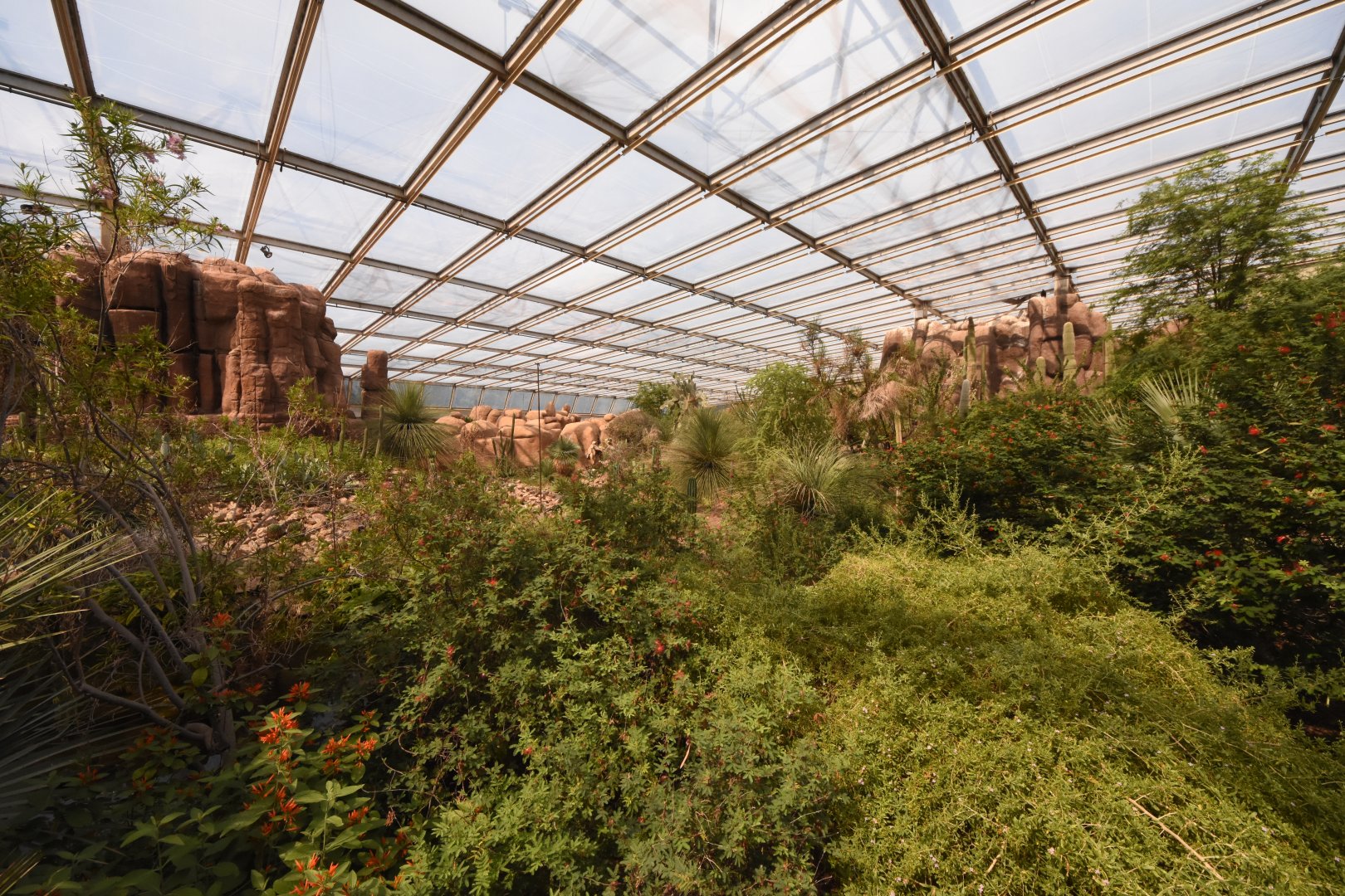 Burgers' Desert - General view