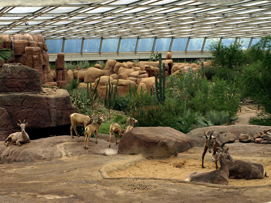 Burgers Desert - Landscape