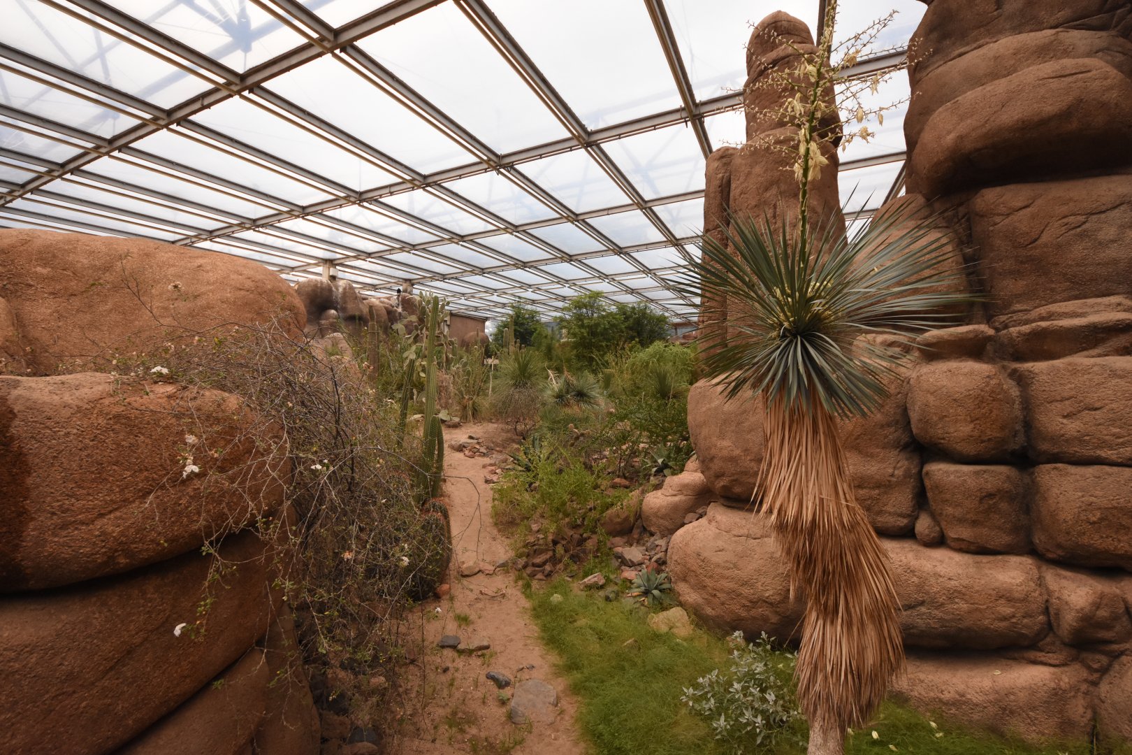 Burgers' Desert - Main view