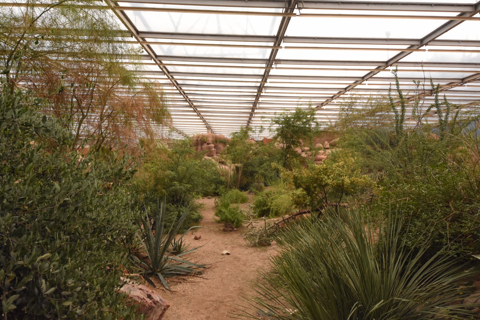 Burgers' Desert - Main view