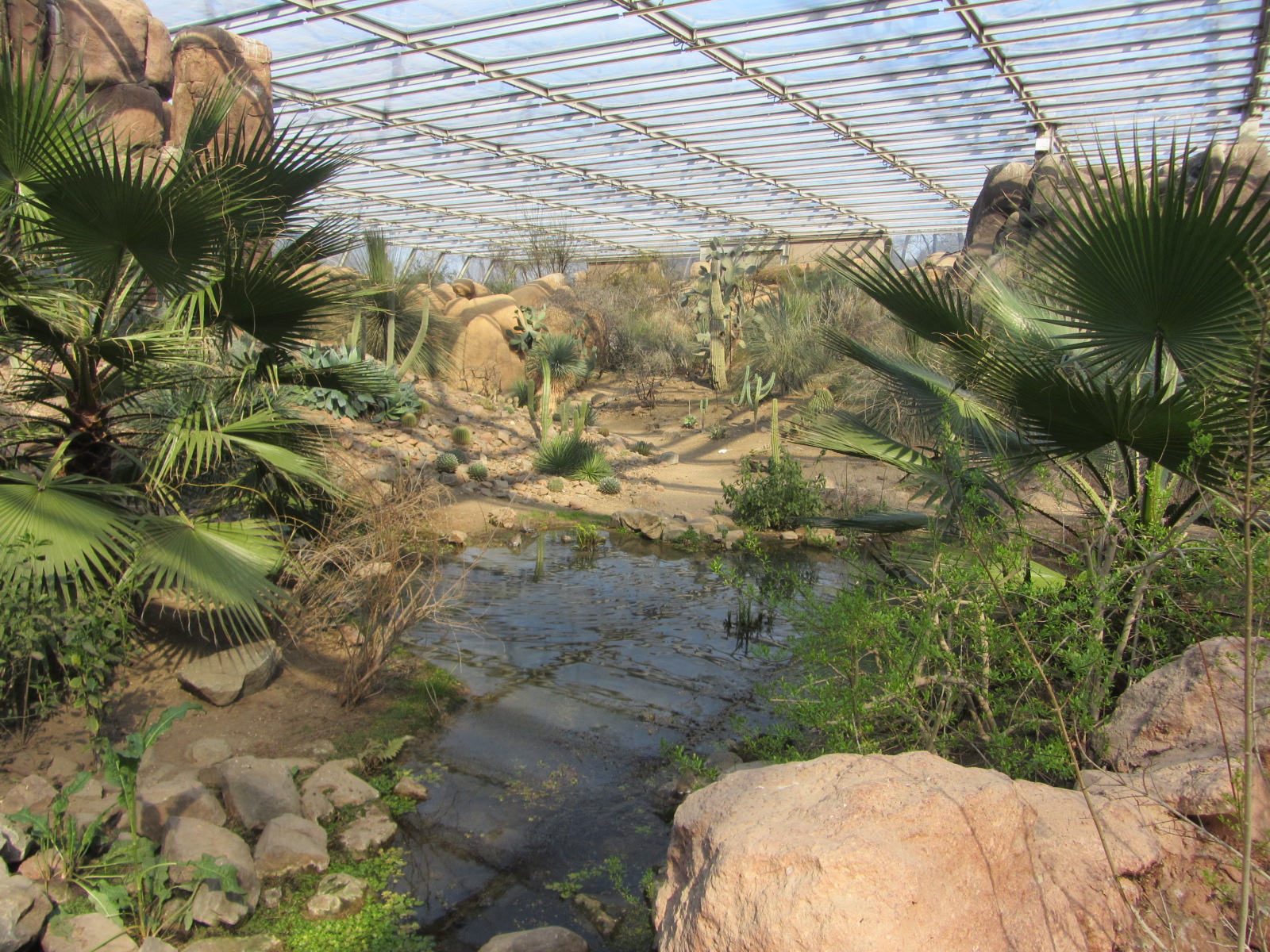 Burgers' Desert - Oasis