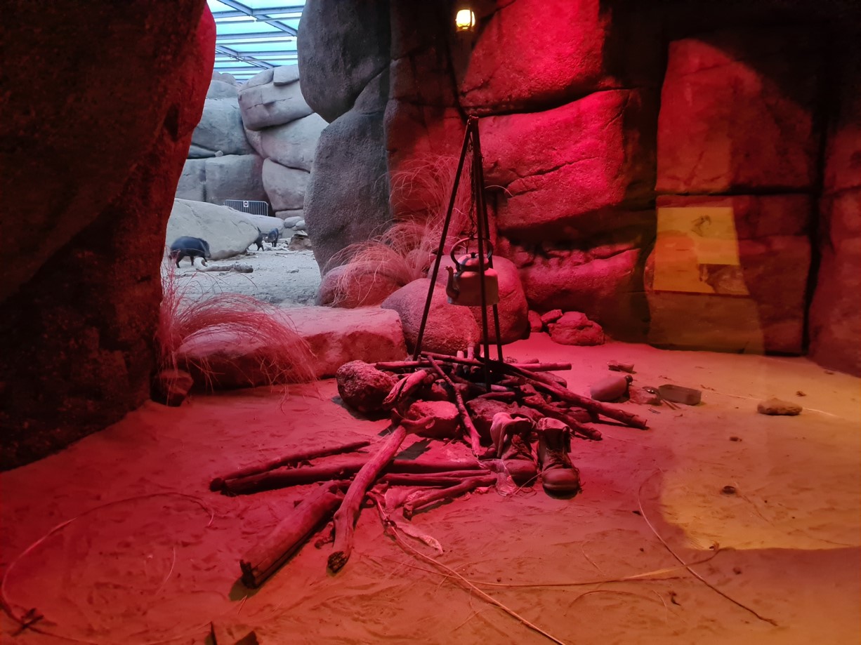 Burgers' desert - Rattlesnake enclosure in the evening