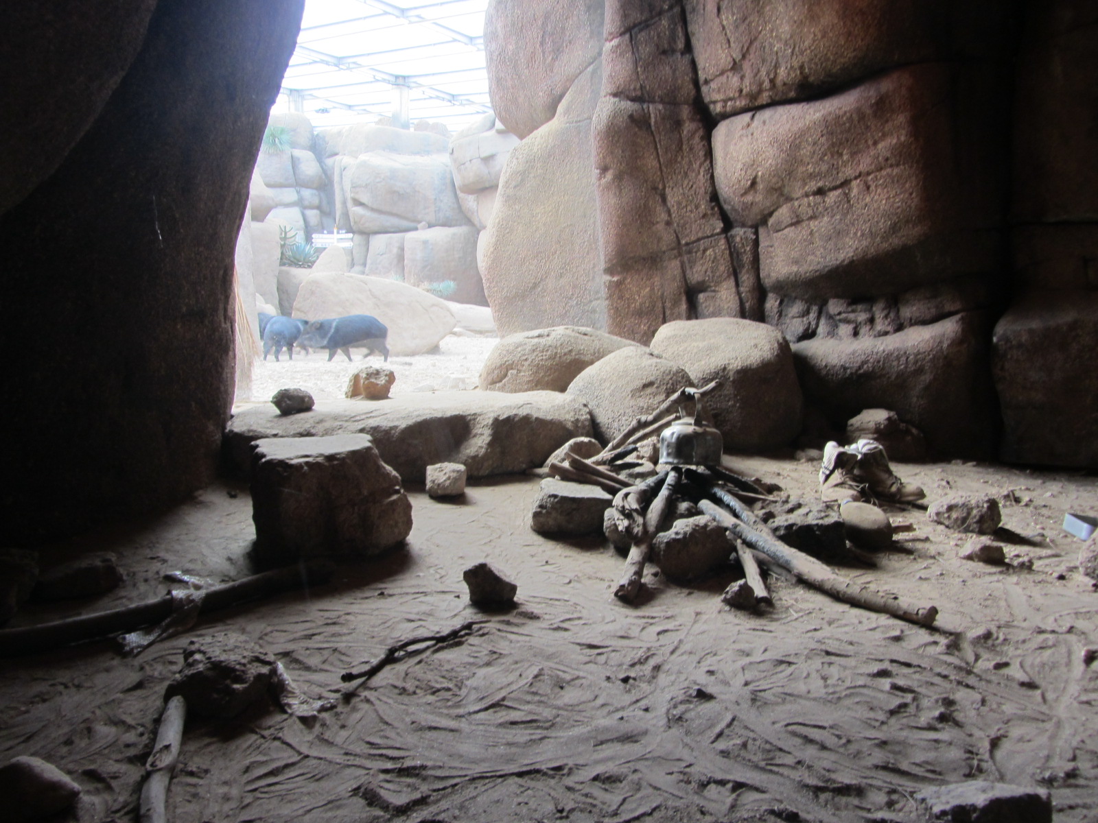Burgers' Desert - Rattlesnake enclosure