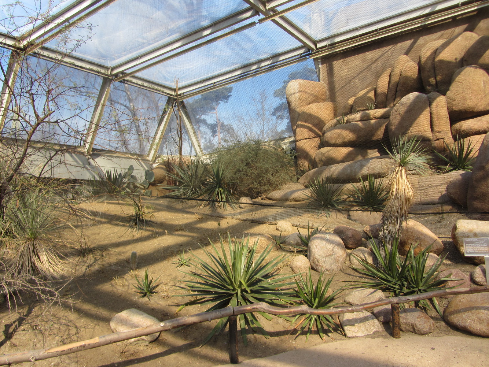 Burgers' Desert - Roadrunner and burrowing owl aviary