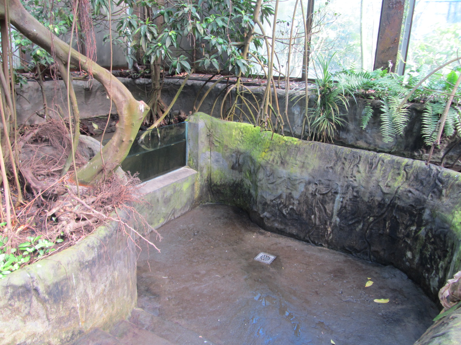 Burgers' Mangrove - Aquarium
