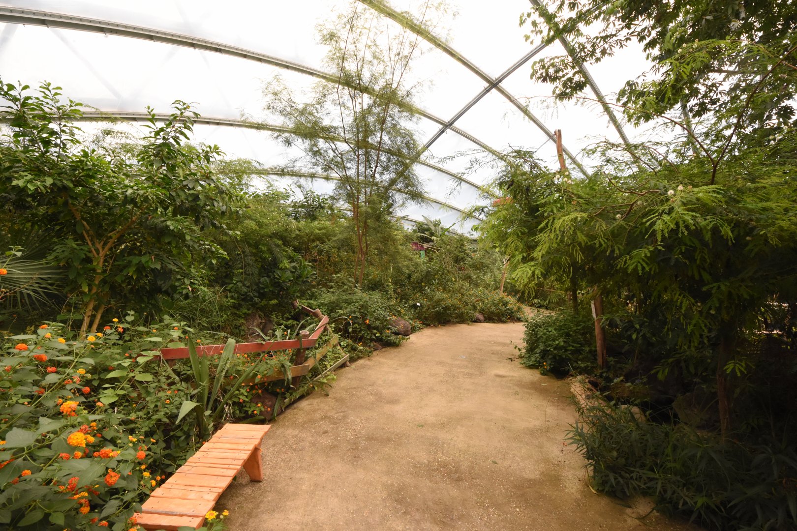 Burgers' Mangrove - Dry forest