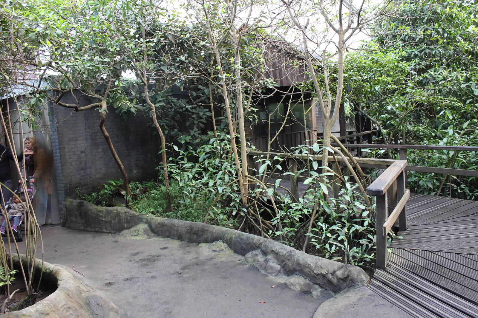 Burgers Mangrove hall