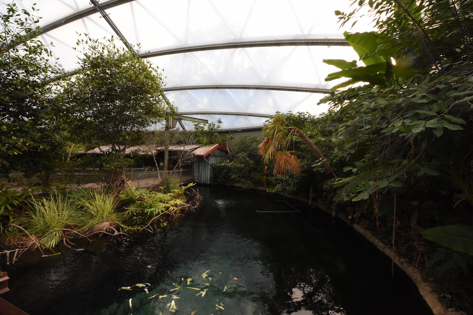 Burgers' Mangrove - Manatee tank separation part