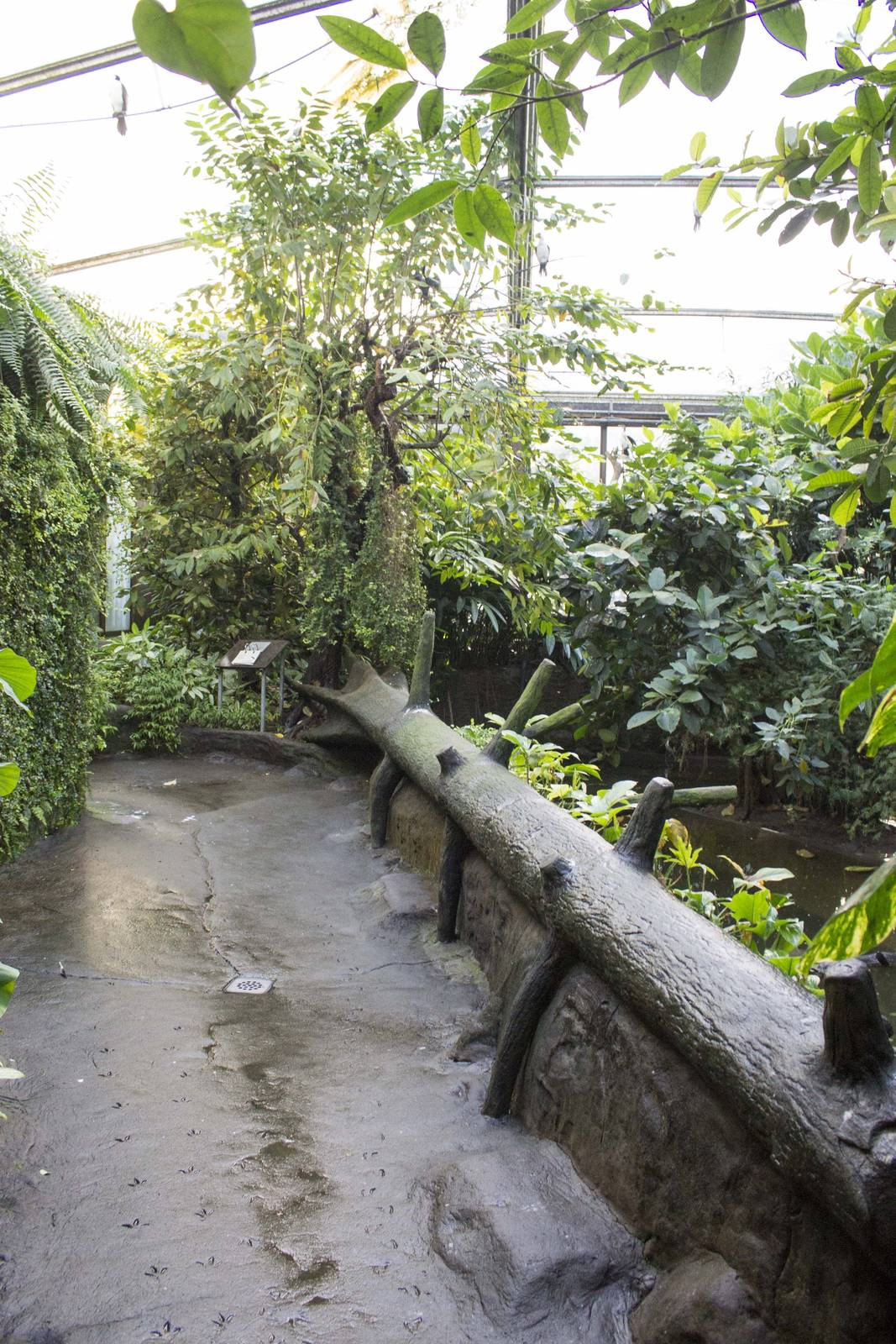 Burgers Mangrove (November 12th, 2015)