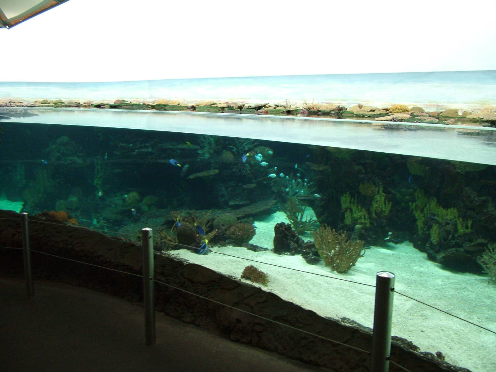 Burgers Ocean at Burgers Zoo Arnhem, 29/08/10