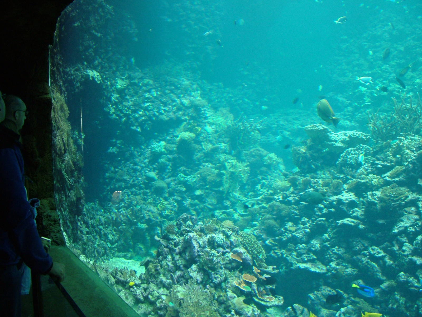 Burgers Ocean at Burgers Zoo Arnhem, 29/08/10