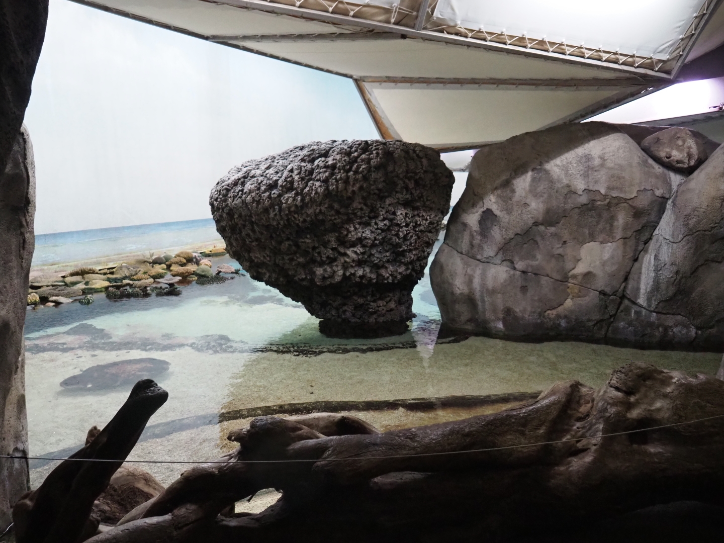 Burgers' Ocean - Beachside (Sep 16th, 2018)