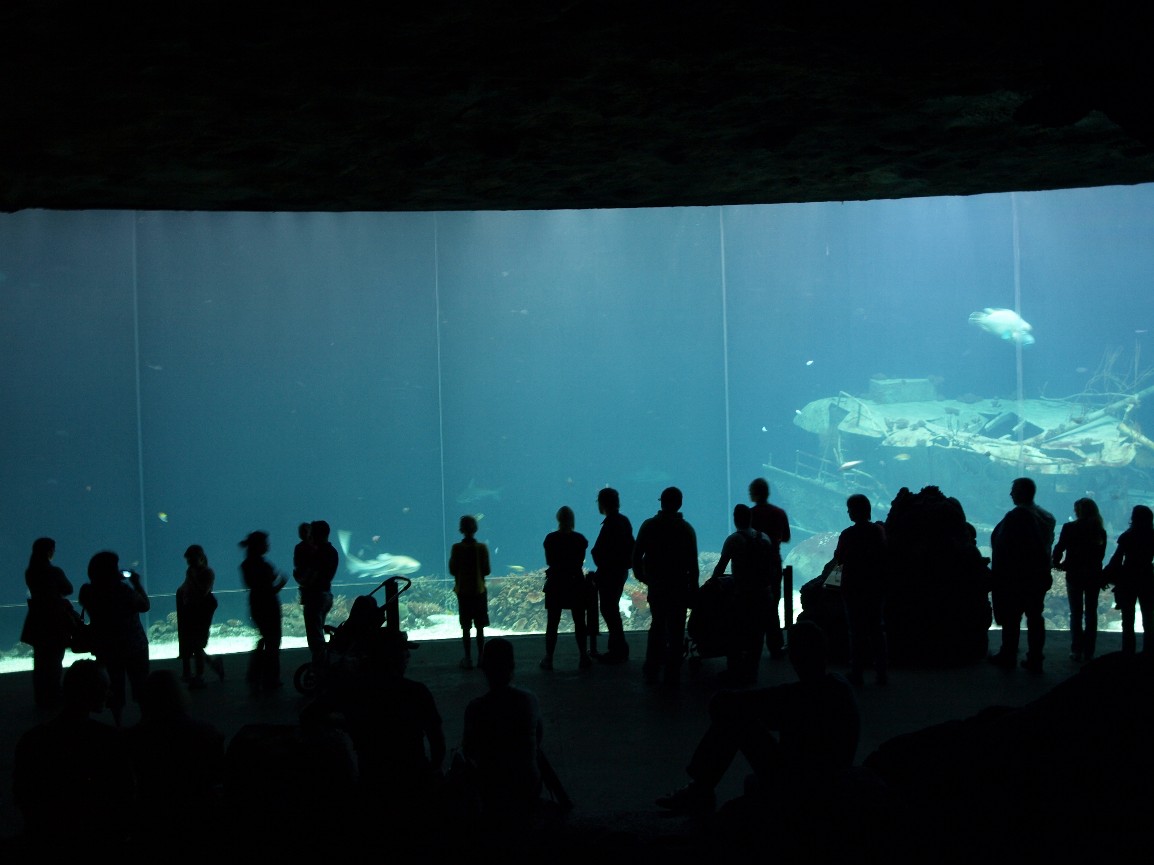 Burgers Ocean - Deep waters