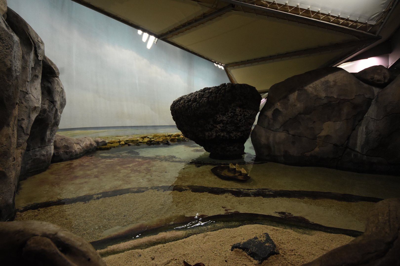 Burgers' Ocean - first view when entering