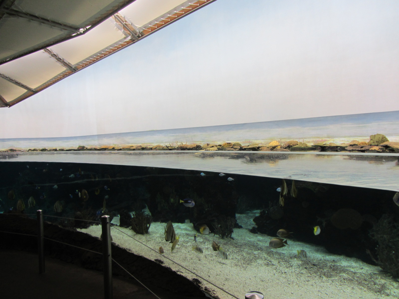 Burgers' Ocean - Lagoon #1