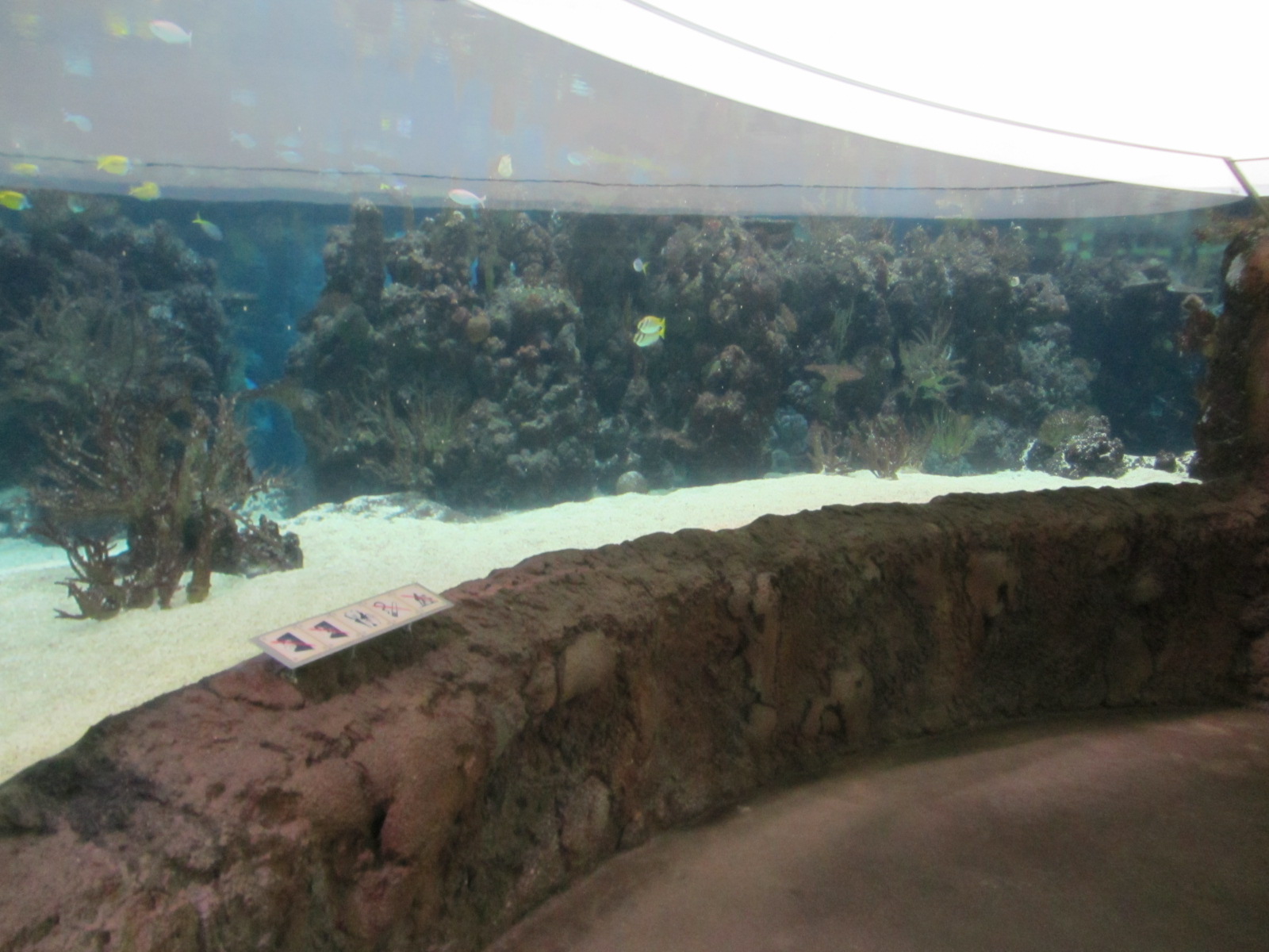 Burgers' Ocean - Lagoon #2