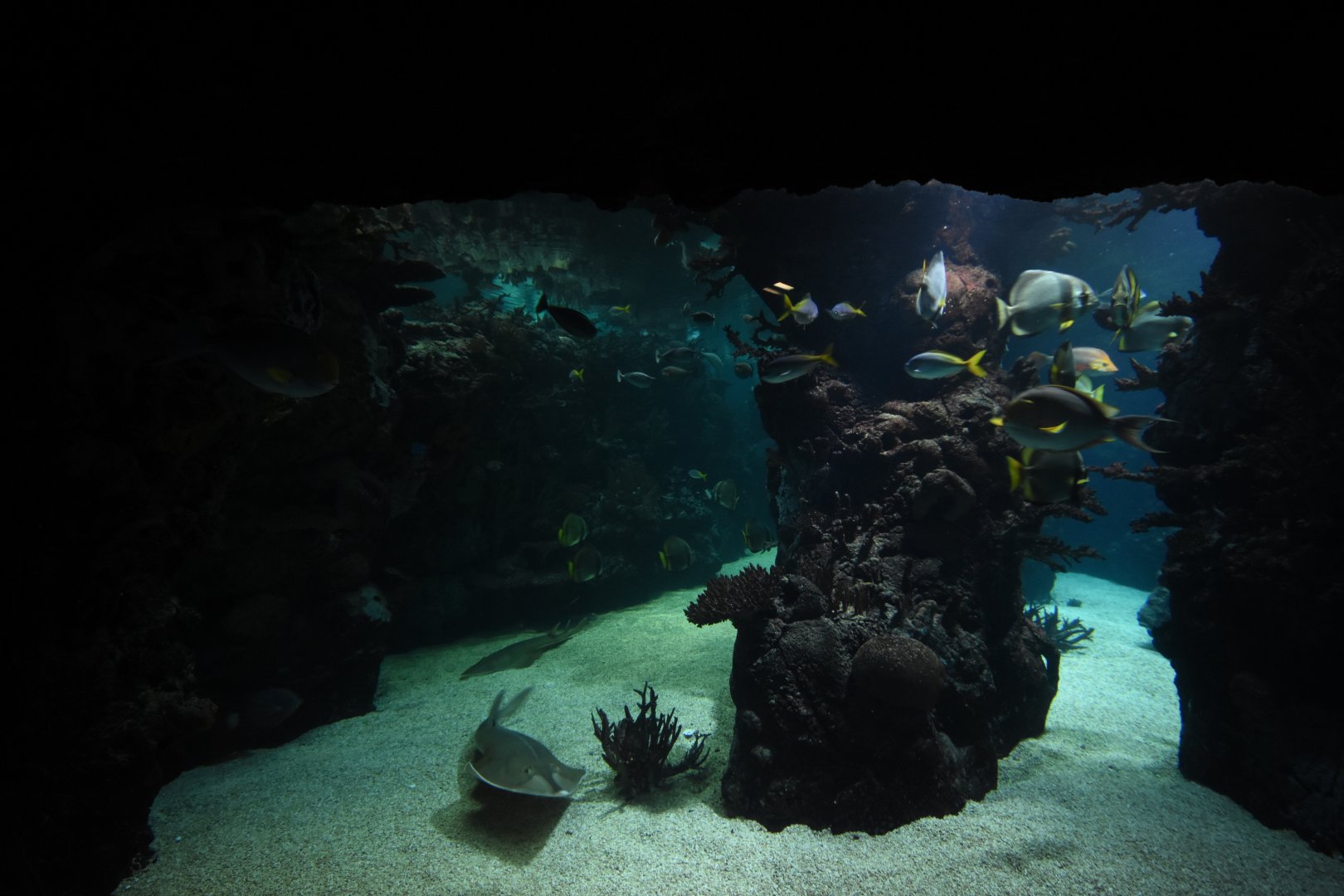 Burgers' Ocean - Lagune deeper part