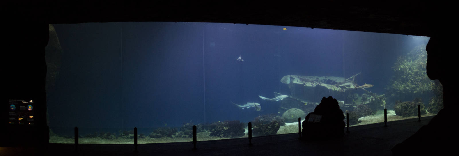 Burgers' Ocean - Open ocean tank