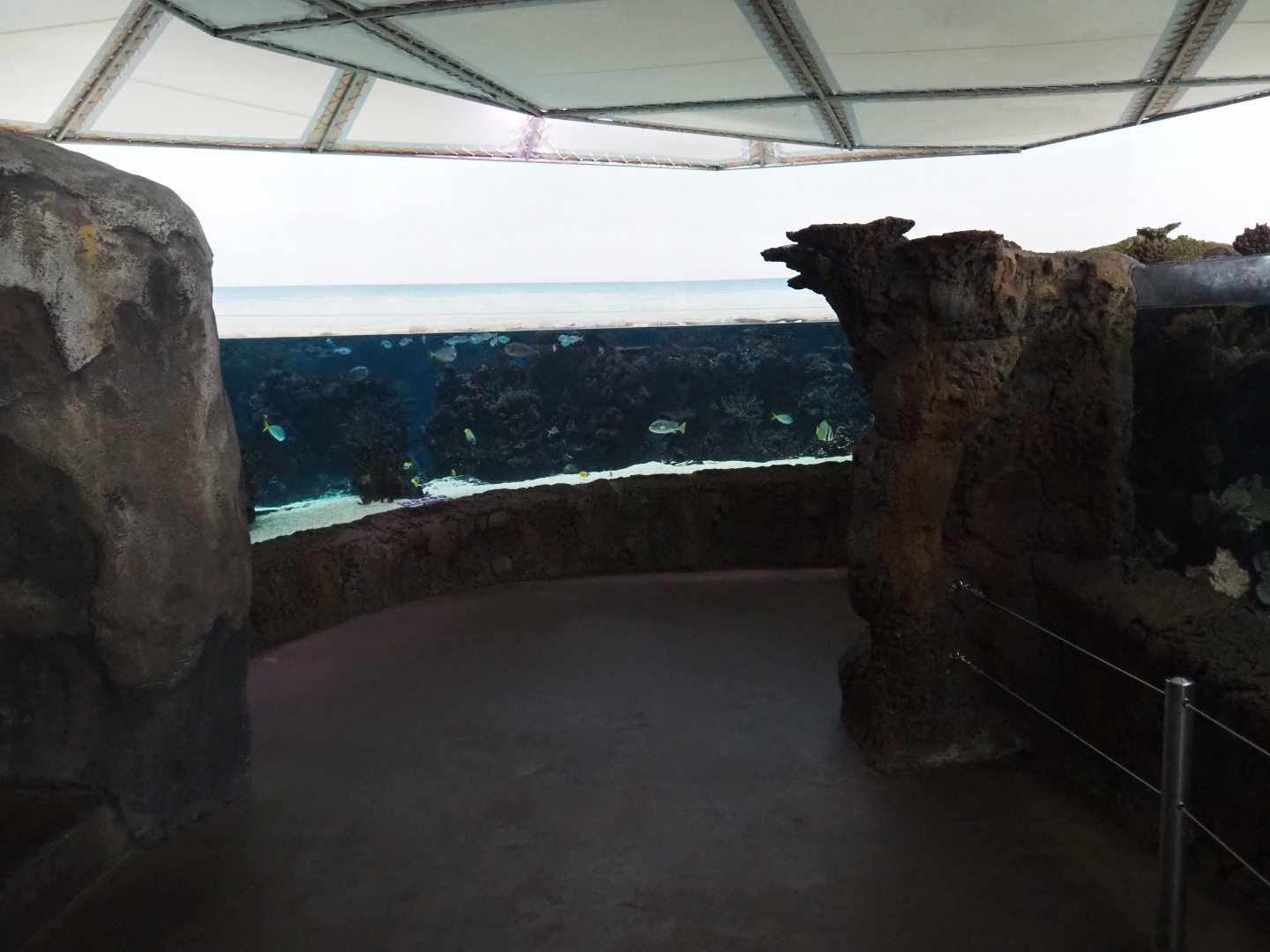 Burgers' Ocean - Pathway and view towards second lagoon tank (Sep 16th, 2018)
